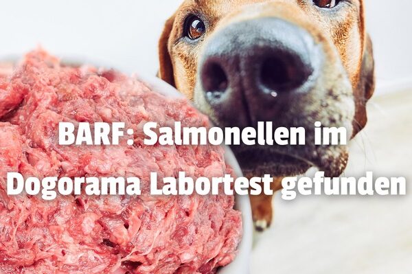 Salmonellen und E. coli in BARF durch den Dogorama-Produkttest nachgewiesen!