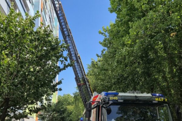Feuerwehr MTK: Wohnungsbrand in Okrifteler Hochhaus – Mehrere Menschen und Tiere gerettet